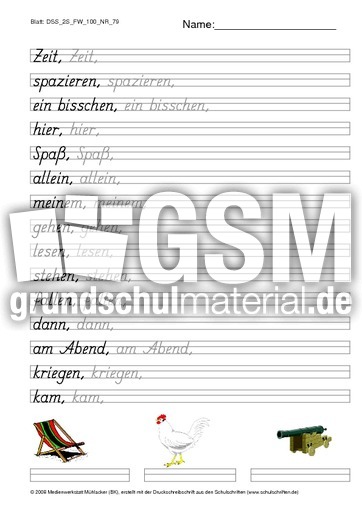 DSS_2S_FW_100_NR_79.pdf